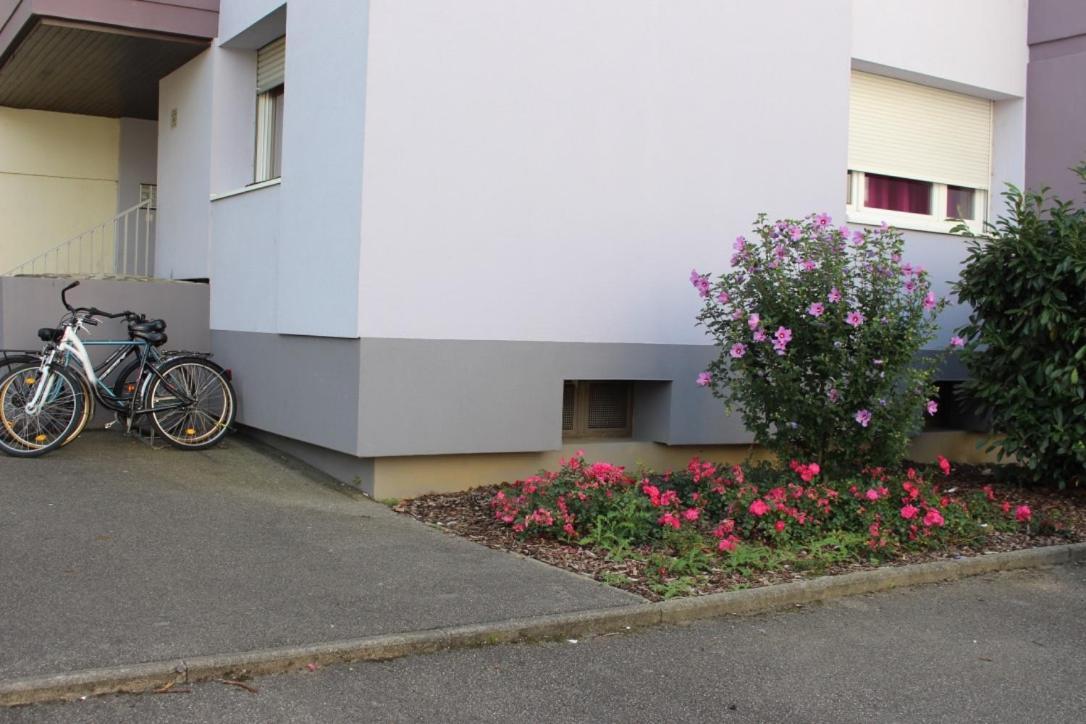 Studios Lora Rm 860 Saint-Louis  Exteriör bild