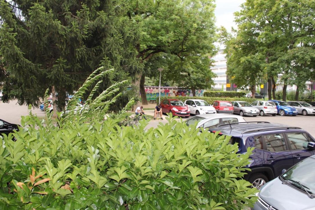 Studios Lora Rm 860 Saint-Louis  Exteriör bild